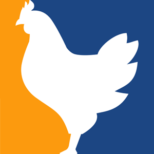 Chicken.gg is an online CS2 gaming platform offering case openings, case battles, skin upgrades, daily rewards, and other chance-based game modes.
