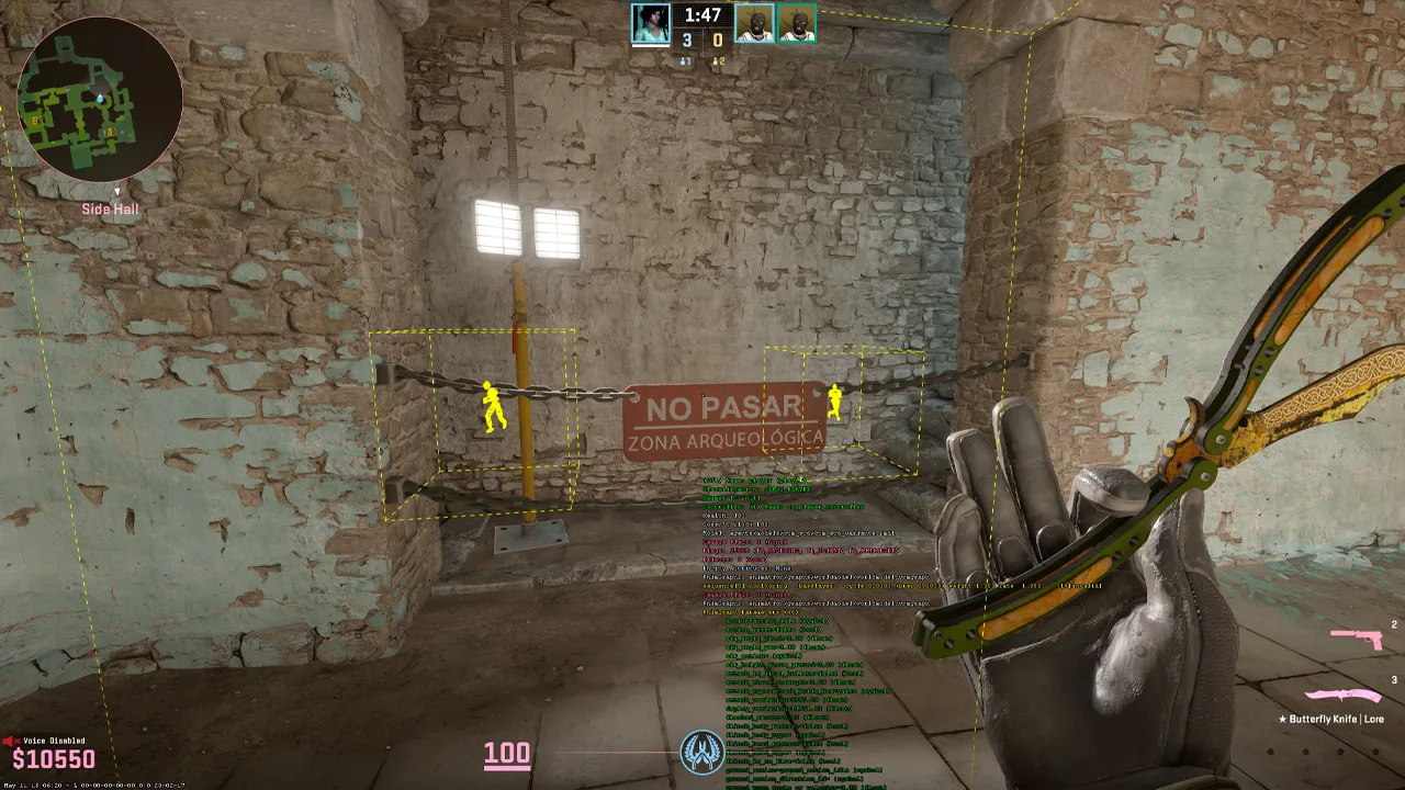 CS2 wallhack command overlay in a private practice session